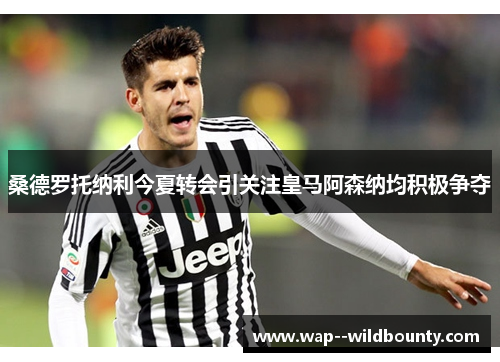 桑德罗托纳利今夏转会引关注皇马阿森纳均积极争夺 桑德罗托纳利今夏转会引关注皇马阿森纳均积极争夺