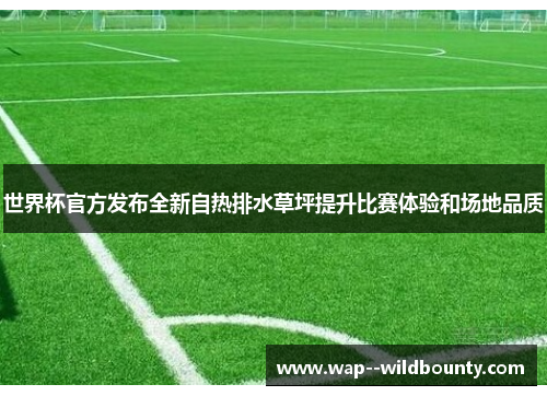世界杯官方发布全新自热排水草坪提升比赛体验和场地品质 世界杯官方发布全新自热排水草坪提升比赛体验和场地品质