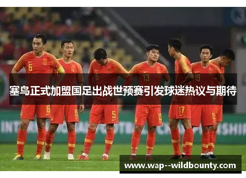 塞鸟正式加盟国足出战世预赛引发球迷热议与期待